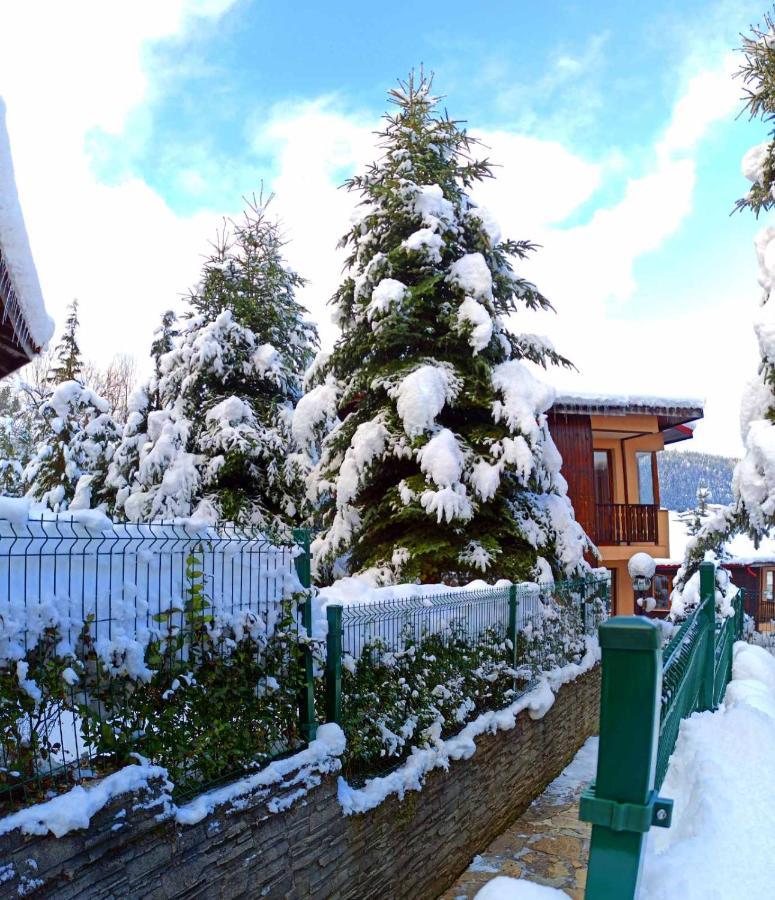 Rodopi Houses Chepelare Exterior foto